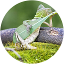 Arnau Ecke Vidal profile picture