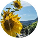 ruarua slump profile picture