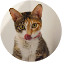 Jorge Gándara Vázquez profile picture