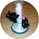 Mar Diaz Muñoz profile picture