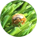 Valèria Grangar profile picture