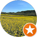 La tesorito profile picture